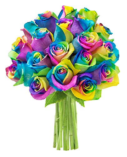 Algopix Similar Product 20 - KaBloom Bouquet of 18 Fresh Rainbow