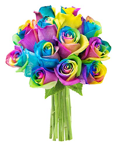 Algopix Similar Product 2 - KaBloom Bouquet of 12 Fresh Rainbow