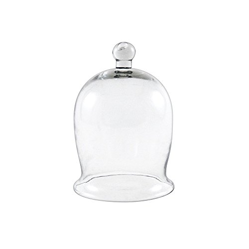 Algopix Similar Product 12 - Achla Designs Miniature Bell Jar I