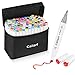 Algopix Similar Product 7 - Caliart Markers 100 Colors Dual Tip
