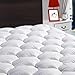 Algopix Similar Product 1 - LEISURE TOWN Queen Mattress Pad Fitted