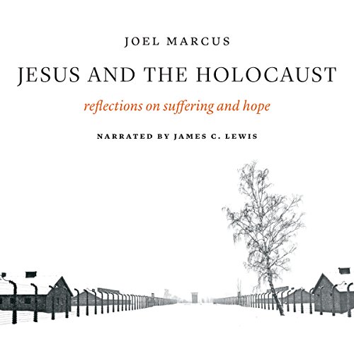 Algopix Similar Product 8 - Jesus and the Holocaust Reflections on
