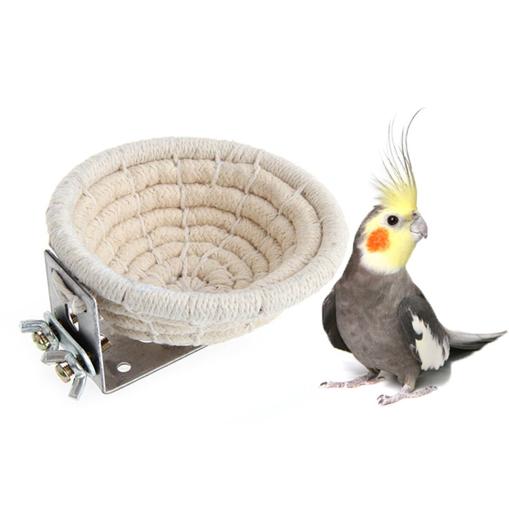 Algopix Similar Product 8 - HAPPINESS APPLY HERE Rope Bird Breeding