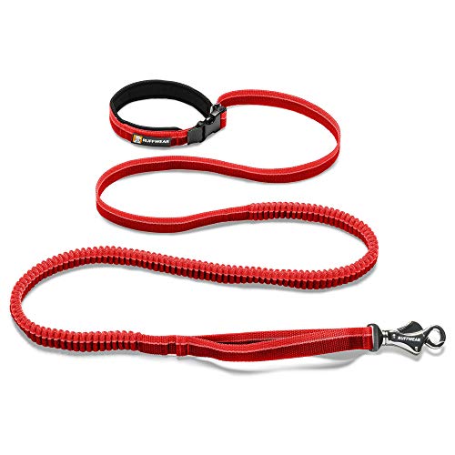 Algopix Similar Product 15 - RUFFWEAR  Roamer Leash Red Currant