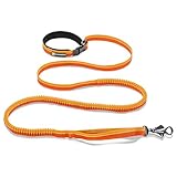 Algopix Similar Product 2 - RUFFWEAR Roamer Dog Leash Adjustable