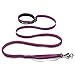 Algopix Similar Product 18 - RUFFWEAR Roamer Dog Leash Adjustable