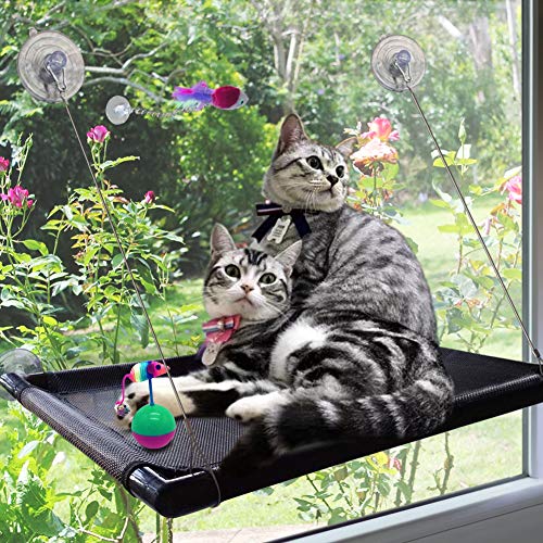 Algopix Similar Product 14 - Cat Perch Cat Window Perch Window Cat