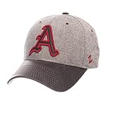 Algopix Similar Product 10 - NCAA Zephyr Clemson Tigers Mens The