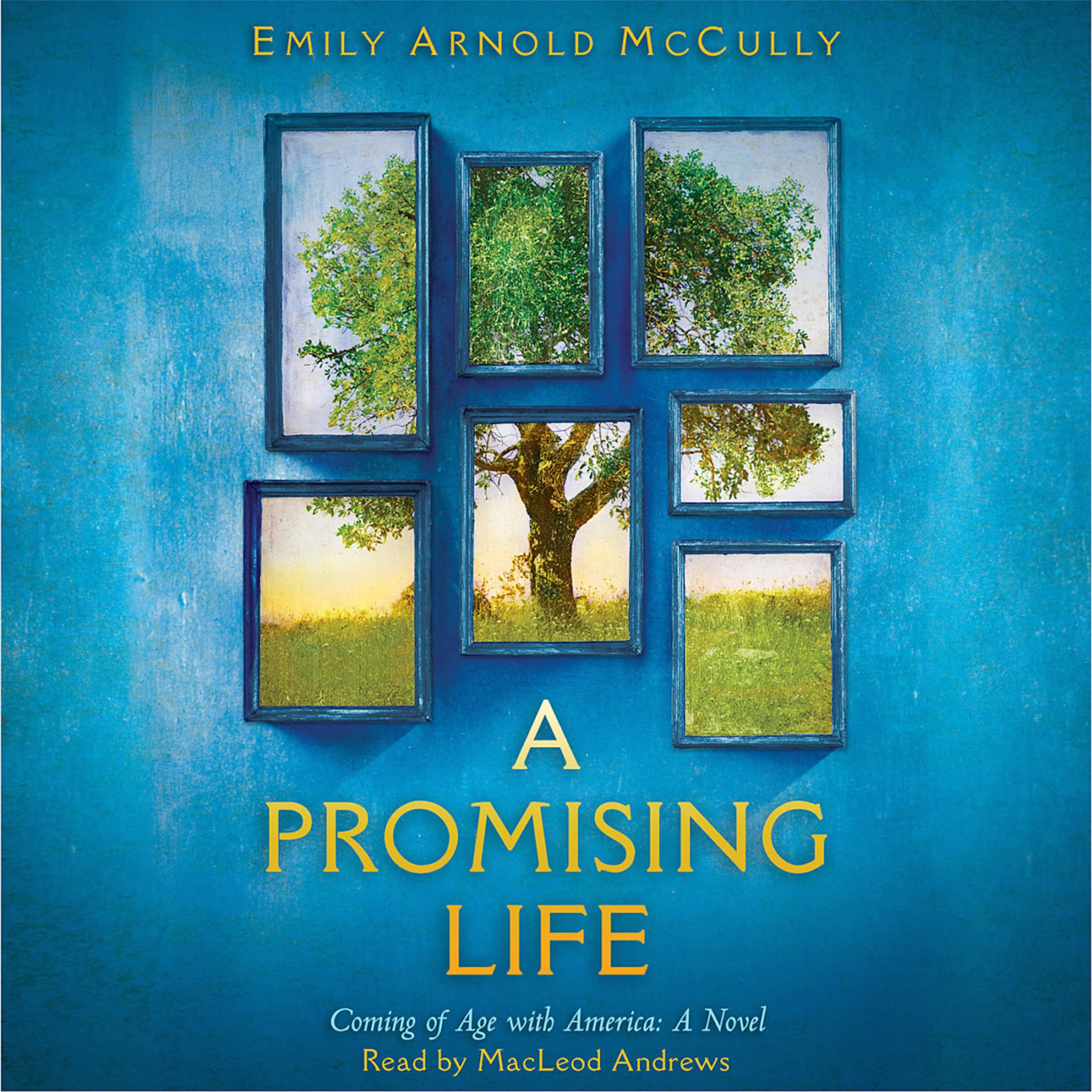 Algopix Similar Product 11 - A Promising Life Coming of Age with