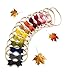 Algopix Similar Product 3 - Fall Baby Girl Mini Bows newborn