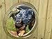 Algopix Similar Product 18 - PETABOO Large Pet Window Fence