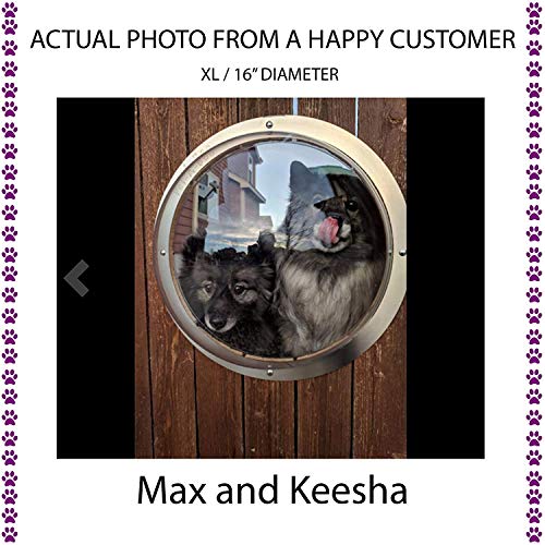 Algopix Similar Product 17 - PETABOO Pet Window Fence Acrylic