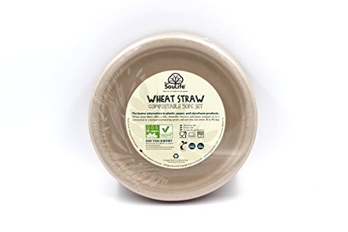 Algopix Similar Product 6 - EcoSouLife Wheatstraw  Plate 9