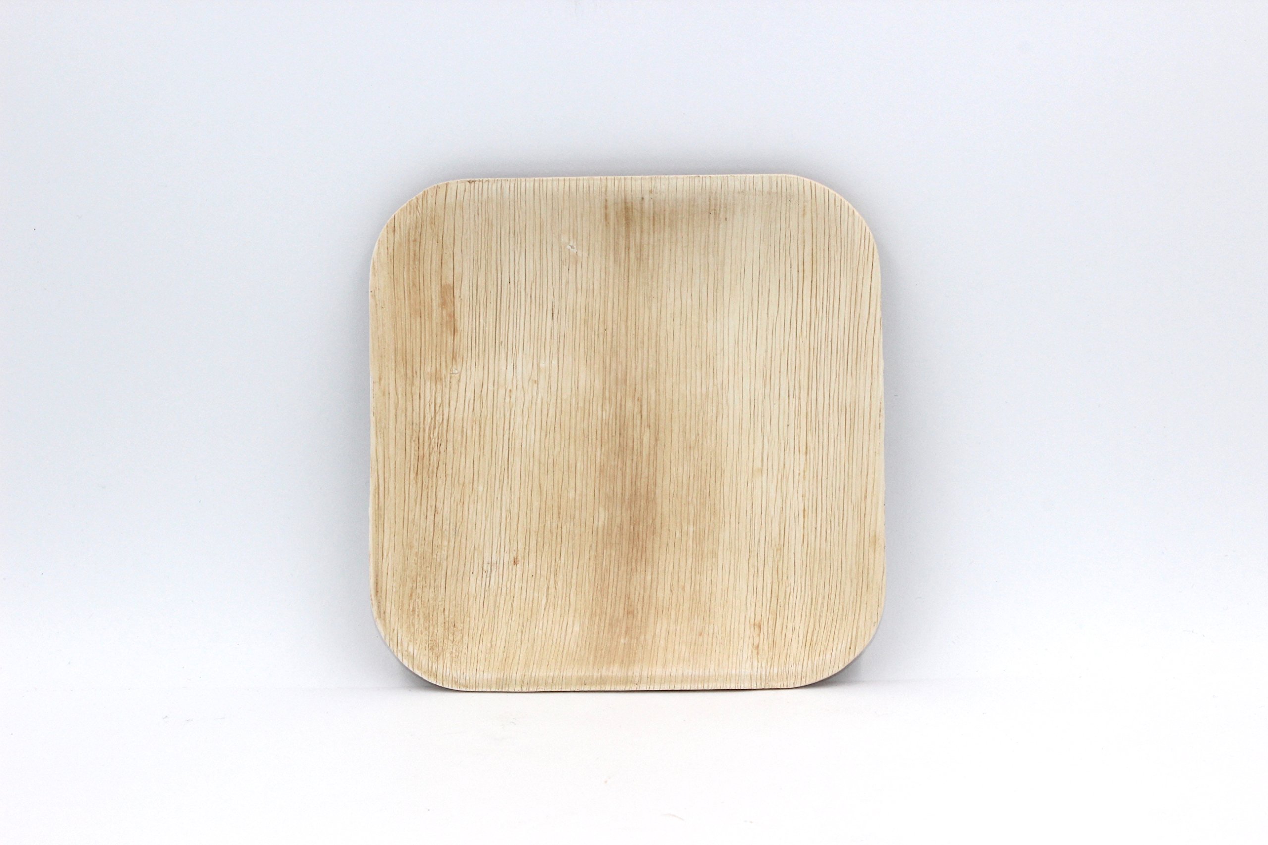 Algopix Similar Product 4 - EcoSouLife Palm Leaf  Sq Plate 8 