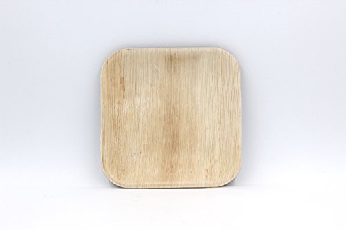 Algopix Similar Product 14 - EcoSouLife Palm Leaf  Sq Plate 8 