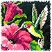 Algopix Similar Product 8 - Dimensions Colorful Hummingbird Latch