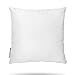 Algopix Similar Product 10 - Pal Fabric Square Sham Pillow Insert