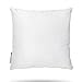 Algopix Similar Product 3 - Premium 22x22 White Cotton Feel