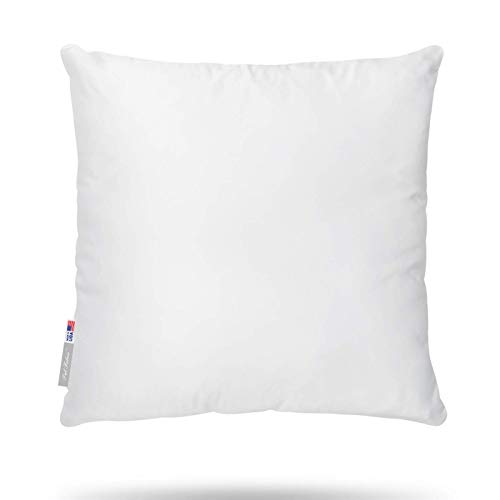 Algopix Similar Product 6 - Premium 22x22 White Cotton Feel