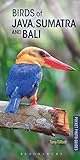 Algopix Similar Product 20 - Birds of Java Sumatra and Bali Pocket