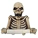Algopix Similar Product 4 - Bone Dry Skeleton Bathroom Toilet Paper