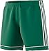 Algopix Similar Product 19 - adidas Squadra17 Shorts Bold