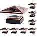Algopix Similar Product 15 - GreenLighting 8 Pack Siena Solar Post