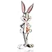 Algopix Similar Product 3 - Looney Tunes XXRAY Figure Bugs Bunny 10