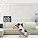 Algopix Similar Product 7 - penobon Pet Training Mat Shock Mats