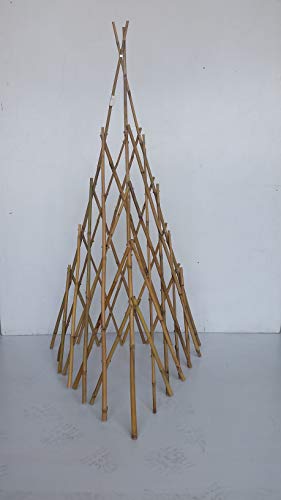 Algopix Similar Product 7 - MGP Natural Bamboo Pole Tepee