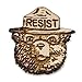 Algopix Similar Product 3 - Smokey the Bear RESIST Wood Hat Pin 