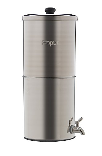 Algopix Similar Product 6 - Propur King Brushed with 2 ProOne 9
