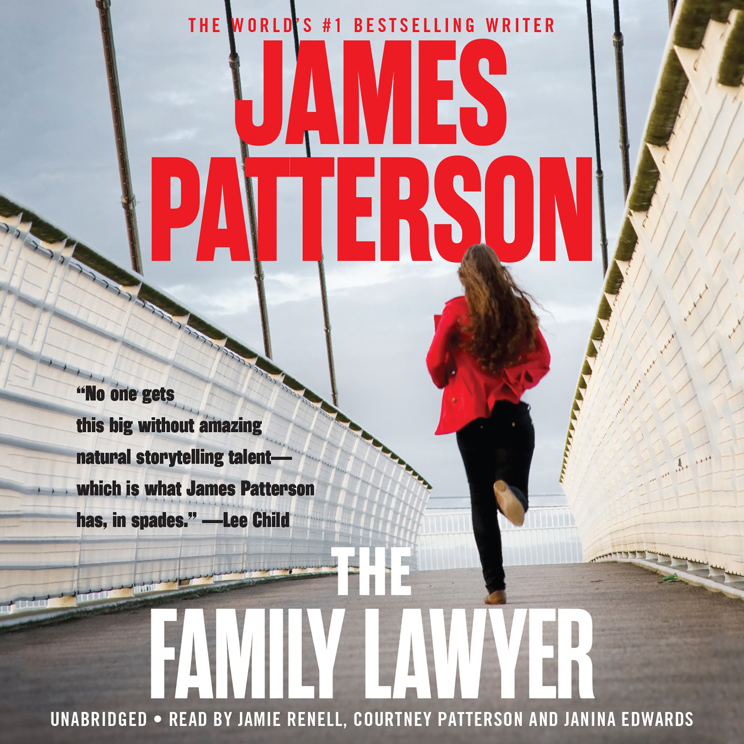 Algopix Similar Product 15 - The Family Lawyer