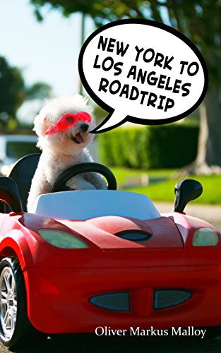 Algopix Similar Product 14 - New York to Los Angeles Roadtrip Epic