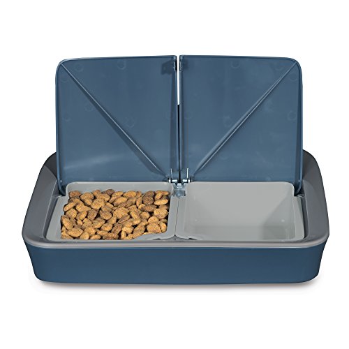 Algopix Similar Product 17 - PetSafe Digital Two Meal Automatic Pet