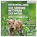 Algopix Similar Product 20 - Das geheime Netzwerk der Natur Wie
