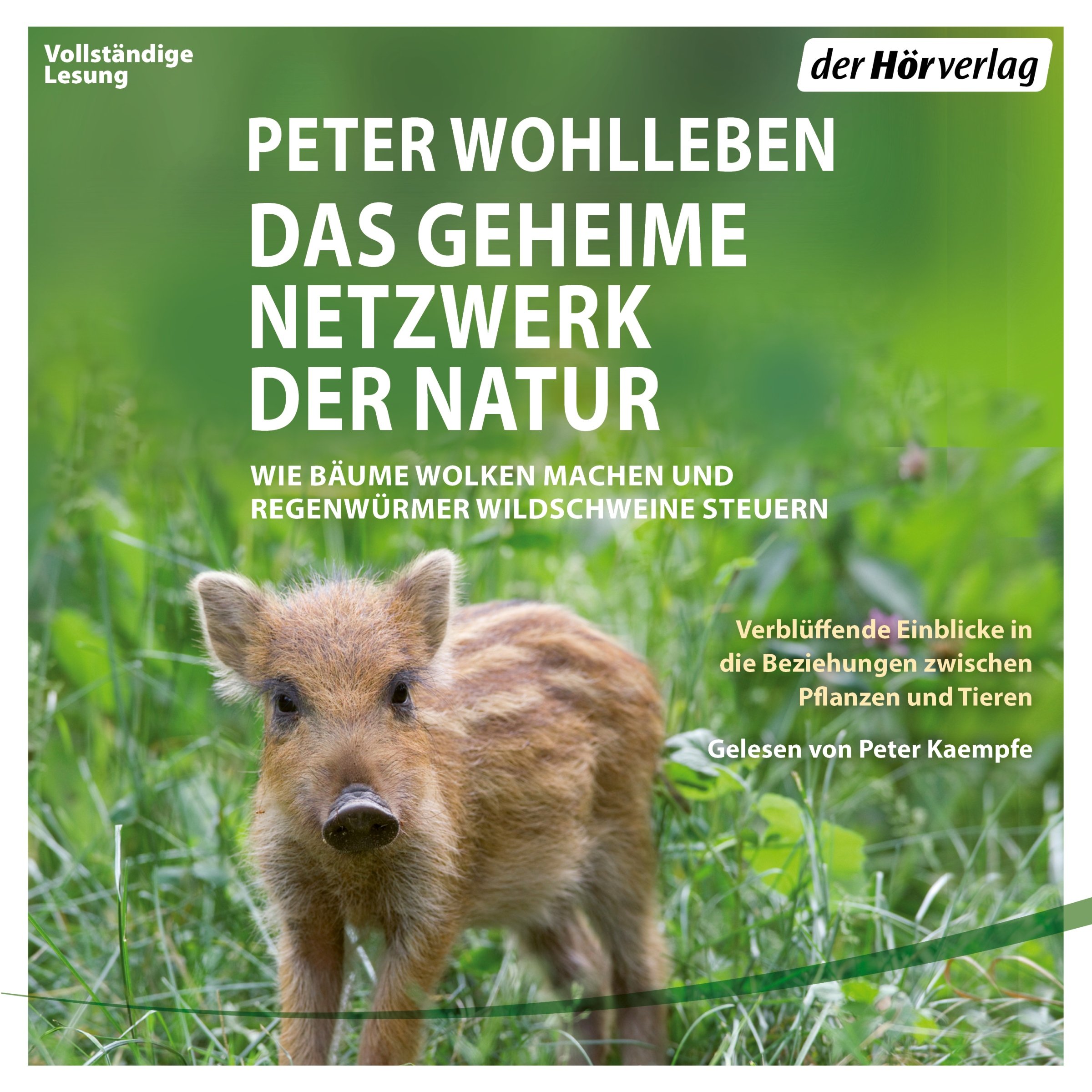 Algopix Similar Product 19 - Das geheime Netzwerk der Natur Wie