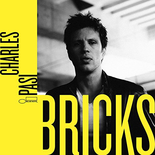 Algopix Similar Product 13 - Bricks