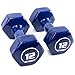 Algopix Similar Product 3 - Brightbells Vinyl Hex Hand Weights