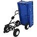 Algopix Similar Product 7 - Sunnydaze Utility Steel Dump Garden
