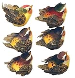 Algopix Similar Product 14 - Factory Direct Craft Assorted