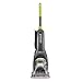 Algopix Similar Product 4 - Bissell Turboclean Powerbrush Pet