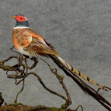 Algopix Similar Product 11 - Factory Direct Craft Feathered