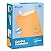 Algopix Similar Product 17 - 9 X 12 SelfSeal Brown Kraft Catalog