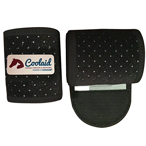 Algopix Similar Product 2 - Coolaid Equine Premium Icing and