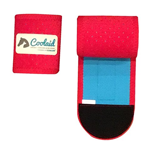 Algopix Similar Product 1 - Coolaid Equine Premium Icing and