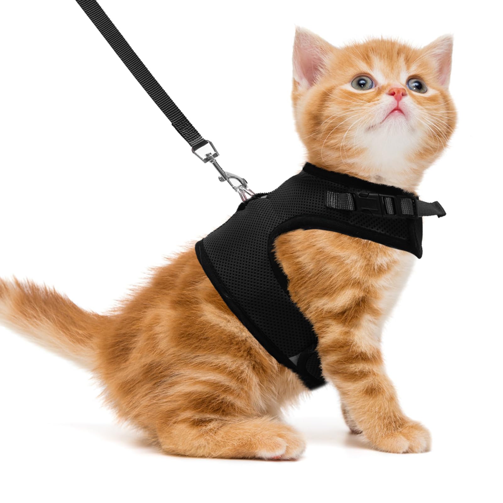 Algopix Similar Product 11 - PUPTECK Soft Mesh Cat Vest Harness and