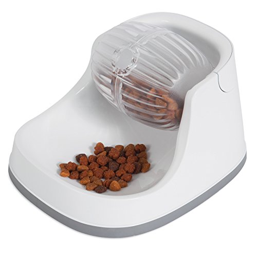 Algopix Similar Product 2 - Petmate Diggin' Diner, Clear (44070)