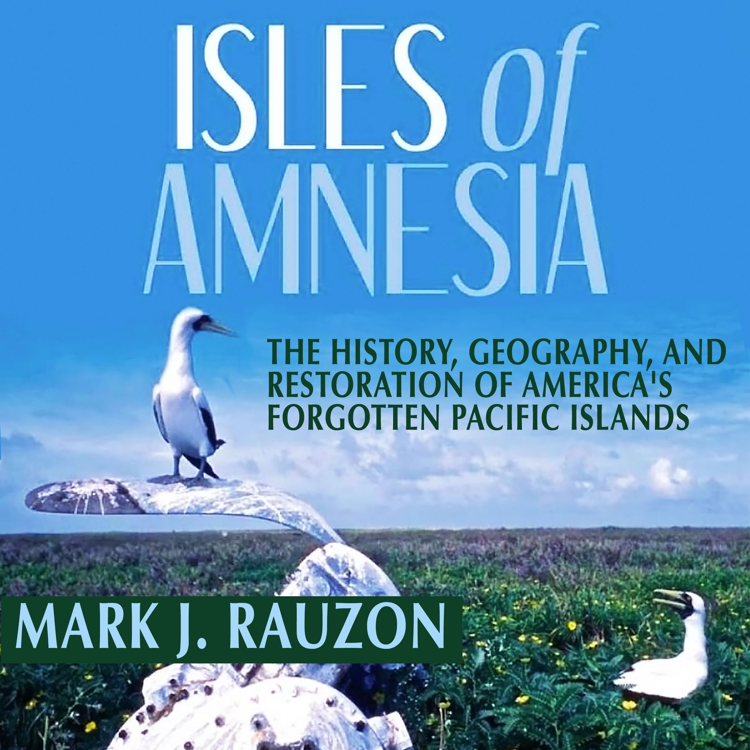 Algopix Similar Product 8 - Isles of Amnesia The History