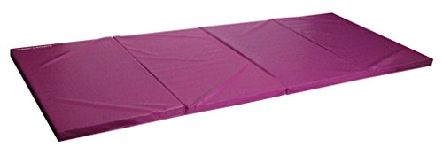 Algopix Similar Product 4 - Seismic Sports SSM482Purple  Purple